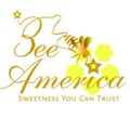 Bee America's avatar