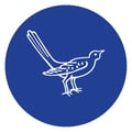 Hinoki & the Bird's avatar