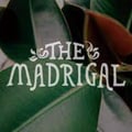 The Madrigal's avatar