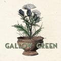 Gallow Green's avatar