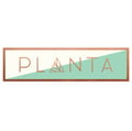 PLANTA South Beach's avatar