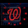 Washington Nationals Ballpark's avatar