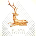 Playa Studios's avatar