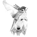 Sparrow + Wolf's avatar