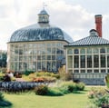 Rawlings Conservatory's avatar