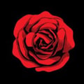 Rose Room at 220's avatar