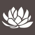Lotus Honolulu at Diamond Head's avatar