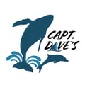 Capt Dave's Dolphin & Whale Watching Safari's avatar