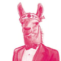 Llama San's avatar