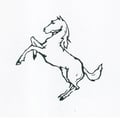 White Stallion Ranch's avatar