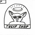 Tulip Shop Tavern's avatar