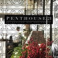 Penthouse 21 Pool Bar Restaurant's avatar