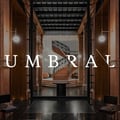 Umbral, Curio Collection by Hilton's avatar