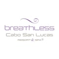 Breathless Cabo San Lucas Resort and Spa's avatar