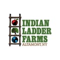 Indian Ladder Farms Cidery and Brewery's avatar