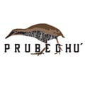 Prubechu's avatar