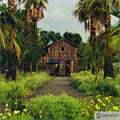 Hacienda De Amor's avatar