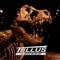 Tellus Science Museum's avatar