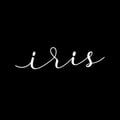 Bar Iris's avatar