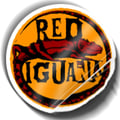 Red Iguana's avatar