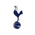 Tottenham Hotspur Stadium's avatar