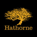 Hathorne's avatar