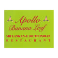 Apollo Banana Leaf's avatar