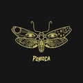 Popoca Oakland's avatar