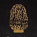 Morchella restaurant's avatar