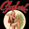 Skylark Lounge's avatar