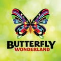 Butterfly Wonderland's avatar