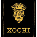 Xochi's avatar