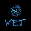 WET Miami's avatar