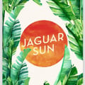 Jaguar Sun's avatar