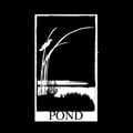 Pond Cabin's avatar