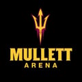Mullett Arena's avatar