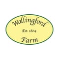 Historic Wallingford Hall's avatar