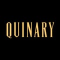 Quinary's avatar