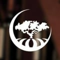 Vinology Restaurant & Event Space's avatar
