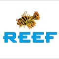 Reef Restaurant & Lounge's avatar