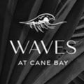 The Waves Cane Bay's avatar