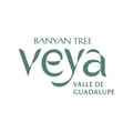 Banyan Tree Veya Valle de Guadalupe's avatar