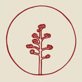 Cielo Rojo Restaurant's avatar