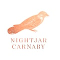 Nightjar Carnaby's avatar