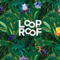 Loop Roof & Loop Top's avatar