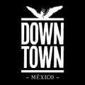 Downtown Mexico Hotel's avatar
