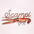 Scampi's avatar