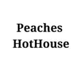 Peaches HotHouse's avatar