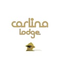 Carlina Lodge's avatar