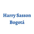 Harry Sasson Bogotá's avatar